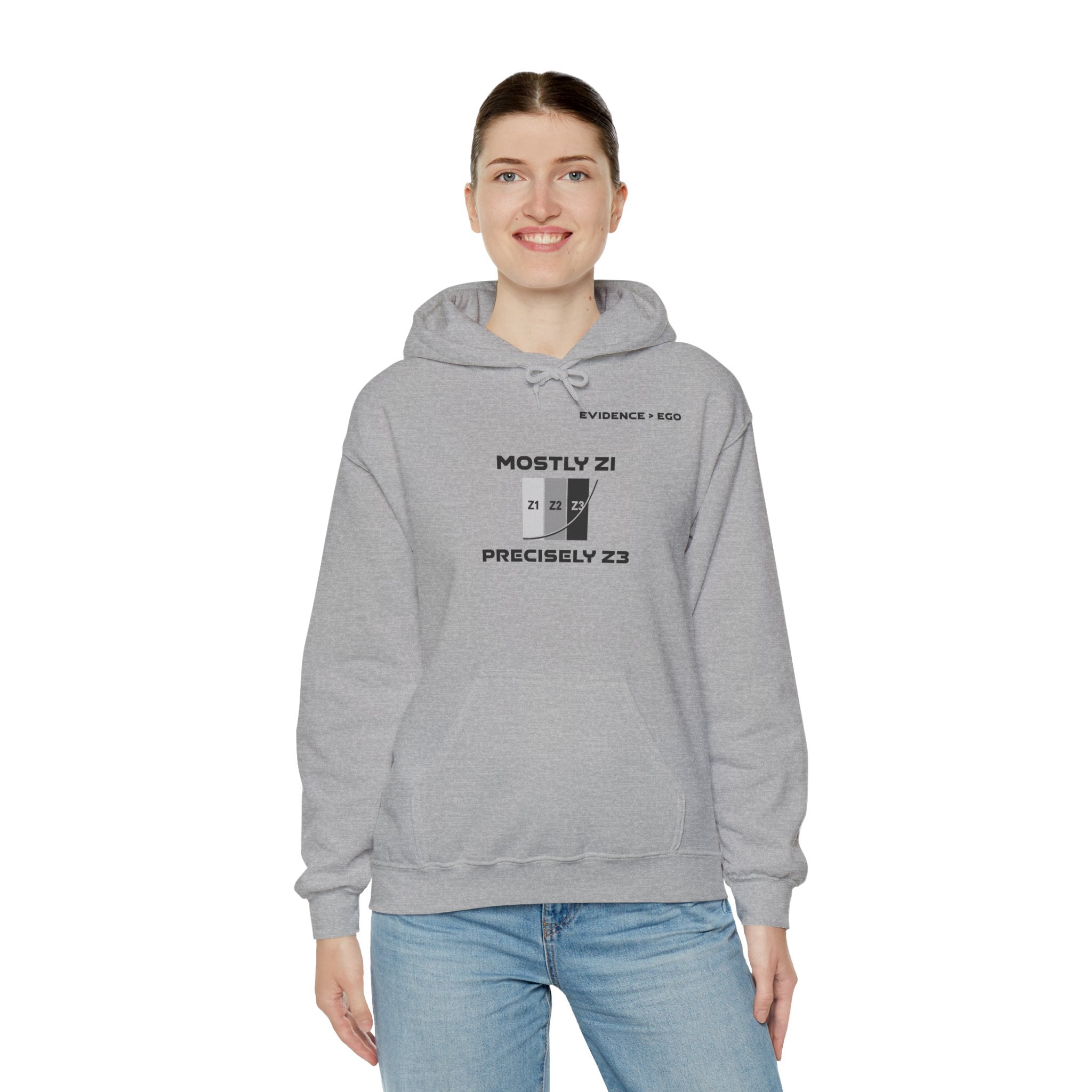 Mostly Z1. Precisely Z3 Hoodie