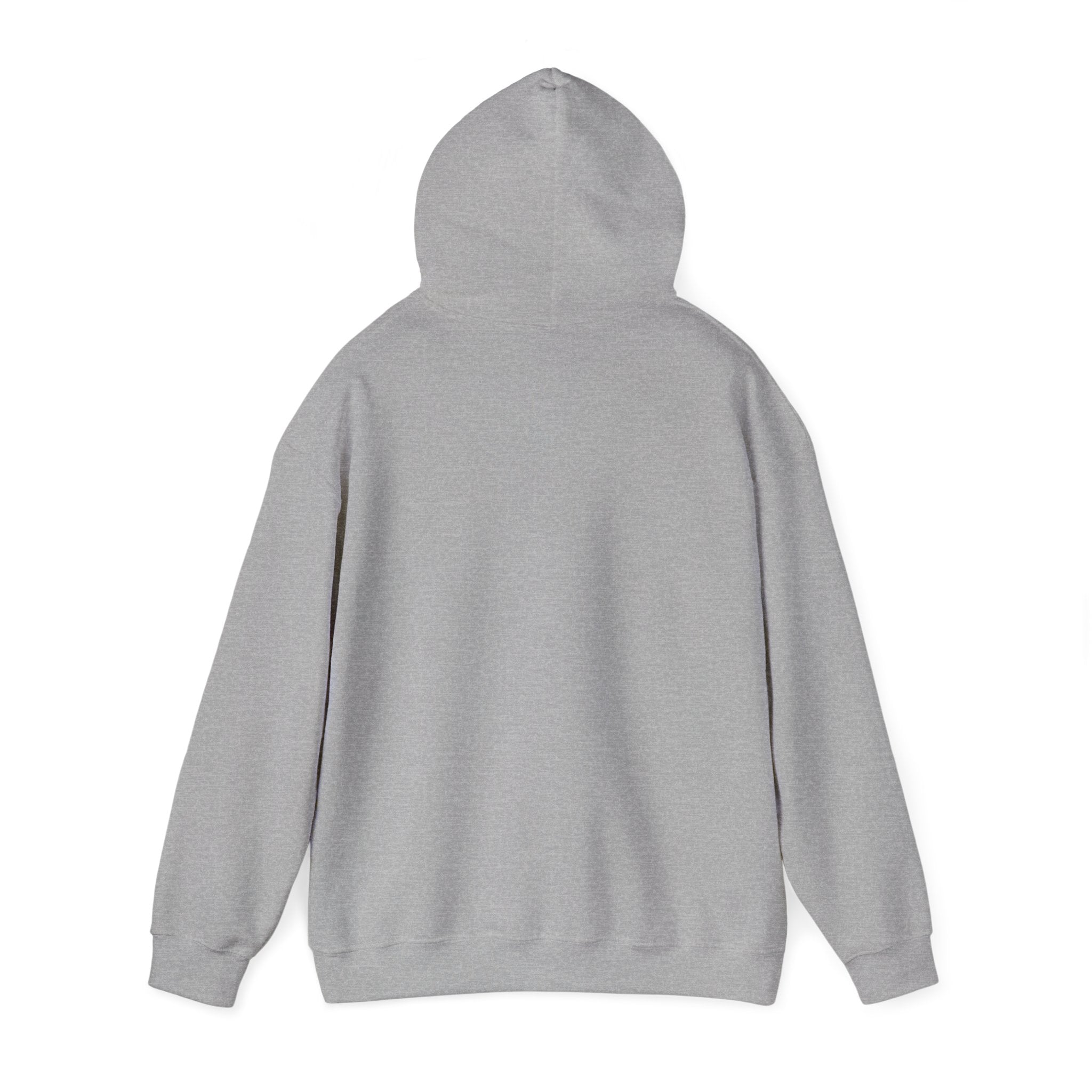 Mostly Z1. Precisely Z3 Hoodie
