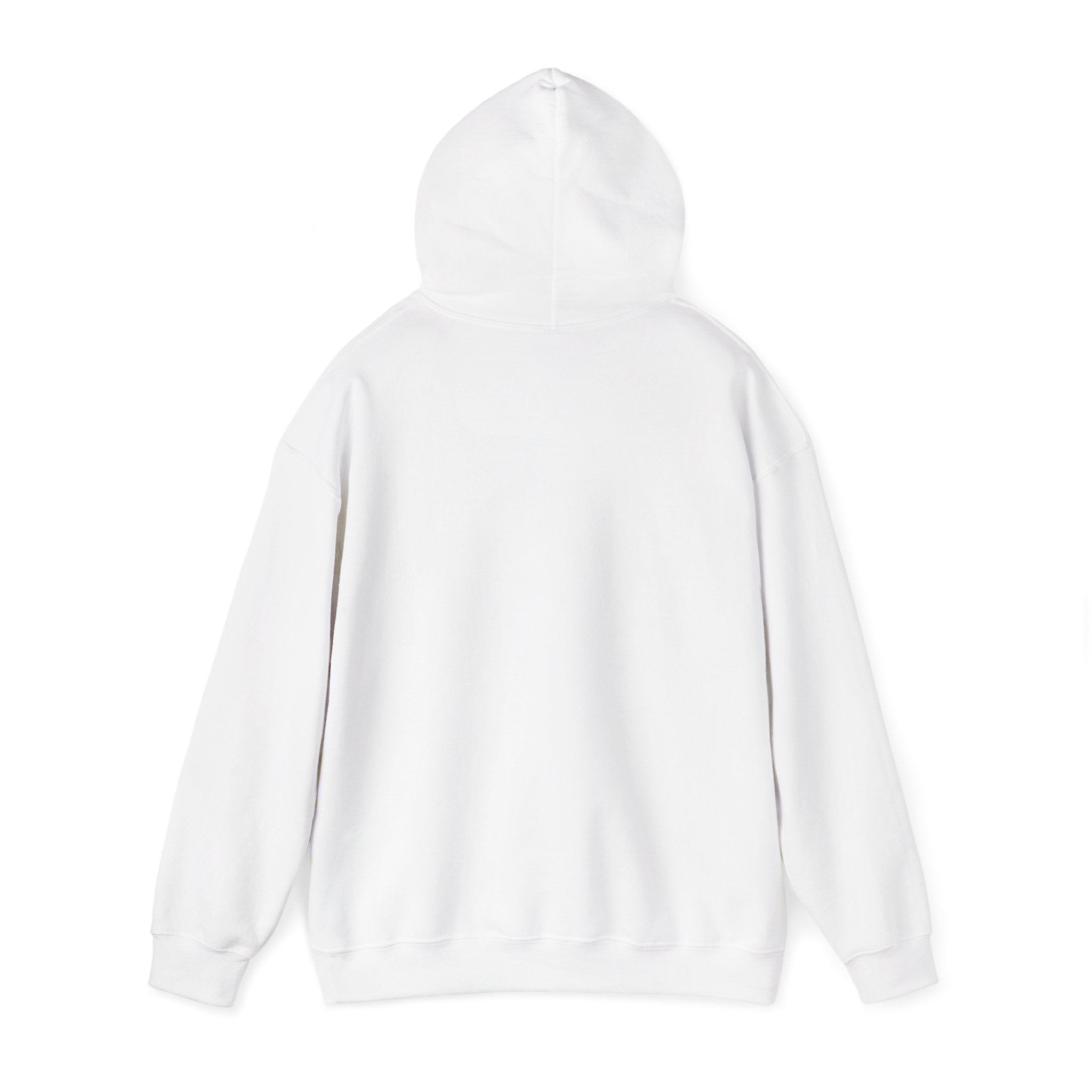Mostly Z1. Precisely Z3 Hoodie