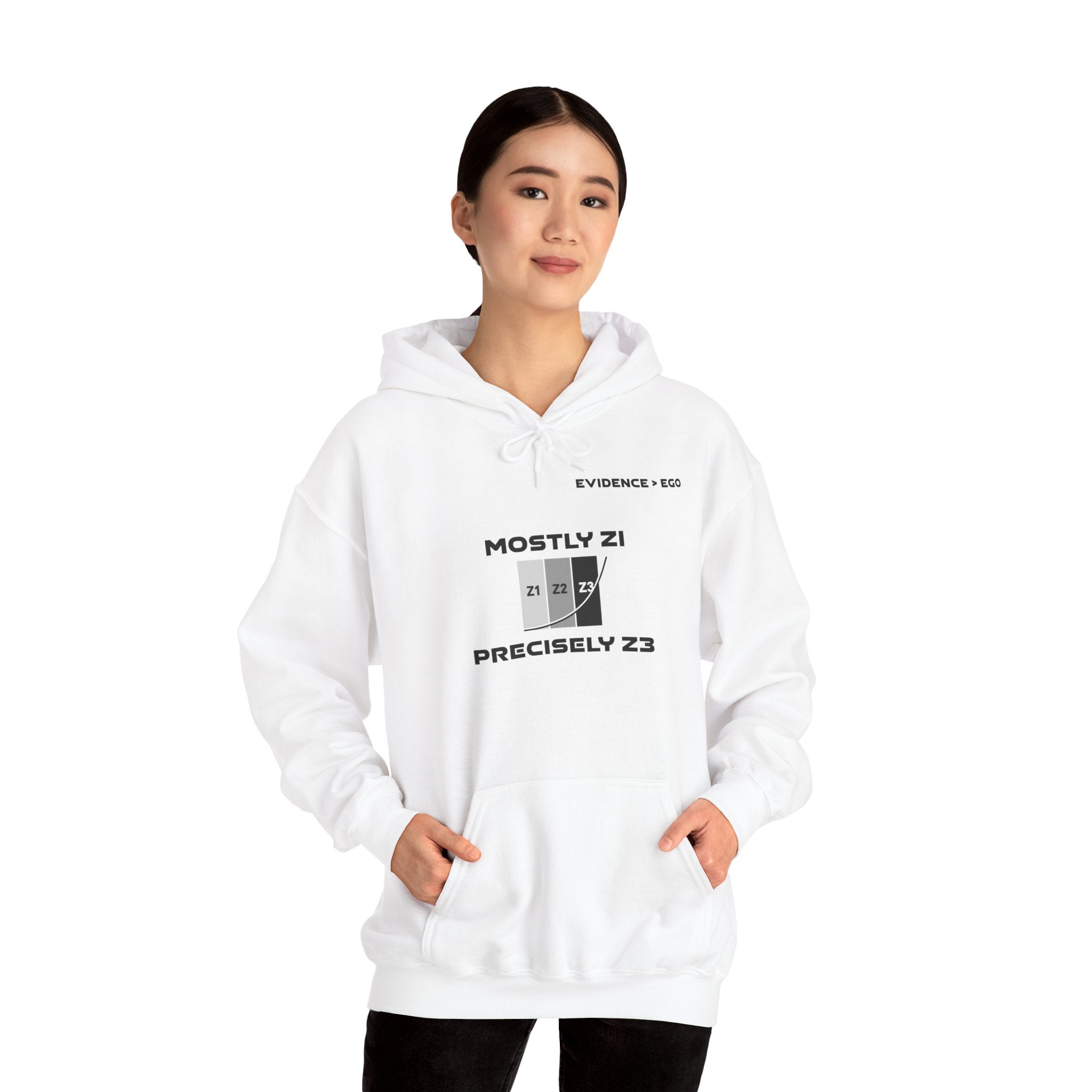 Mostly Z1. Precisely Z3 Hoodie