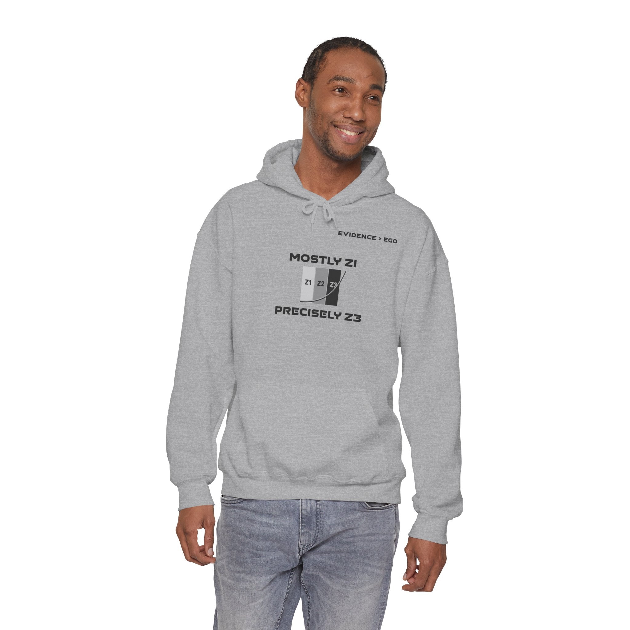 Mostly Z1. Precisely Z3 Hoodie