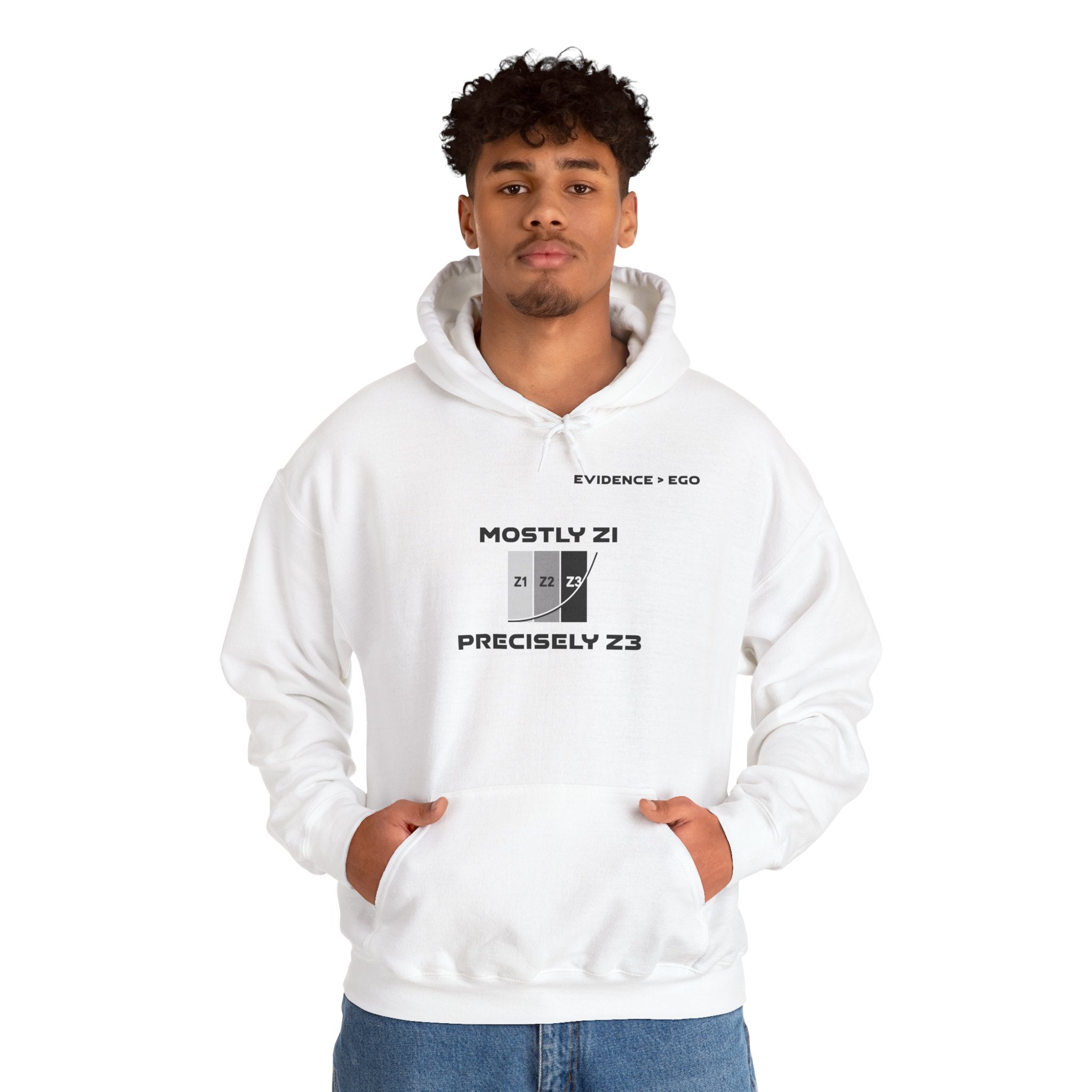 Mostly Z1. Precisely Z3 Hoodie