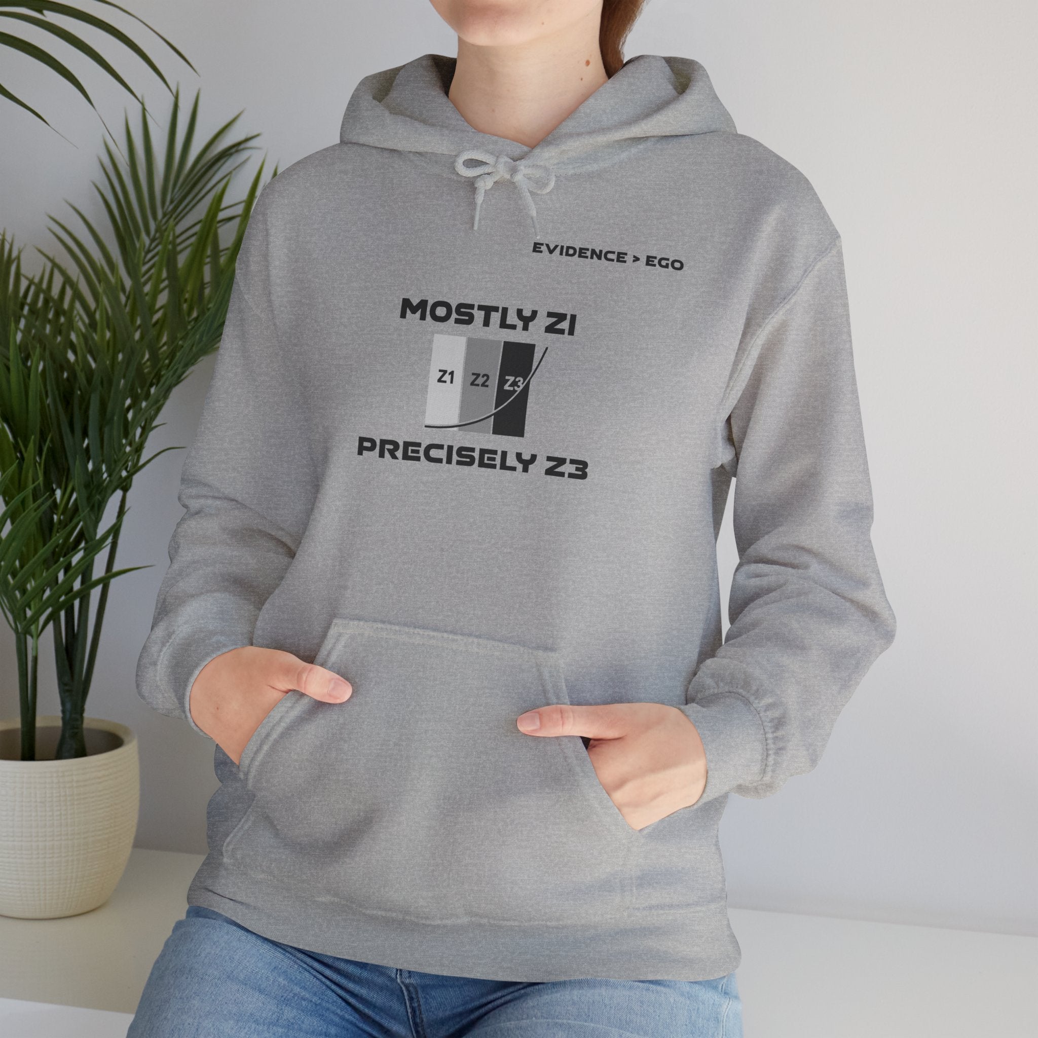 Mostly Z1. Precisely Z3 Hoodie