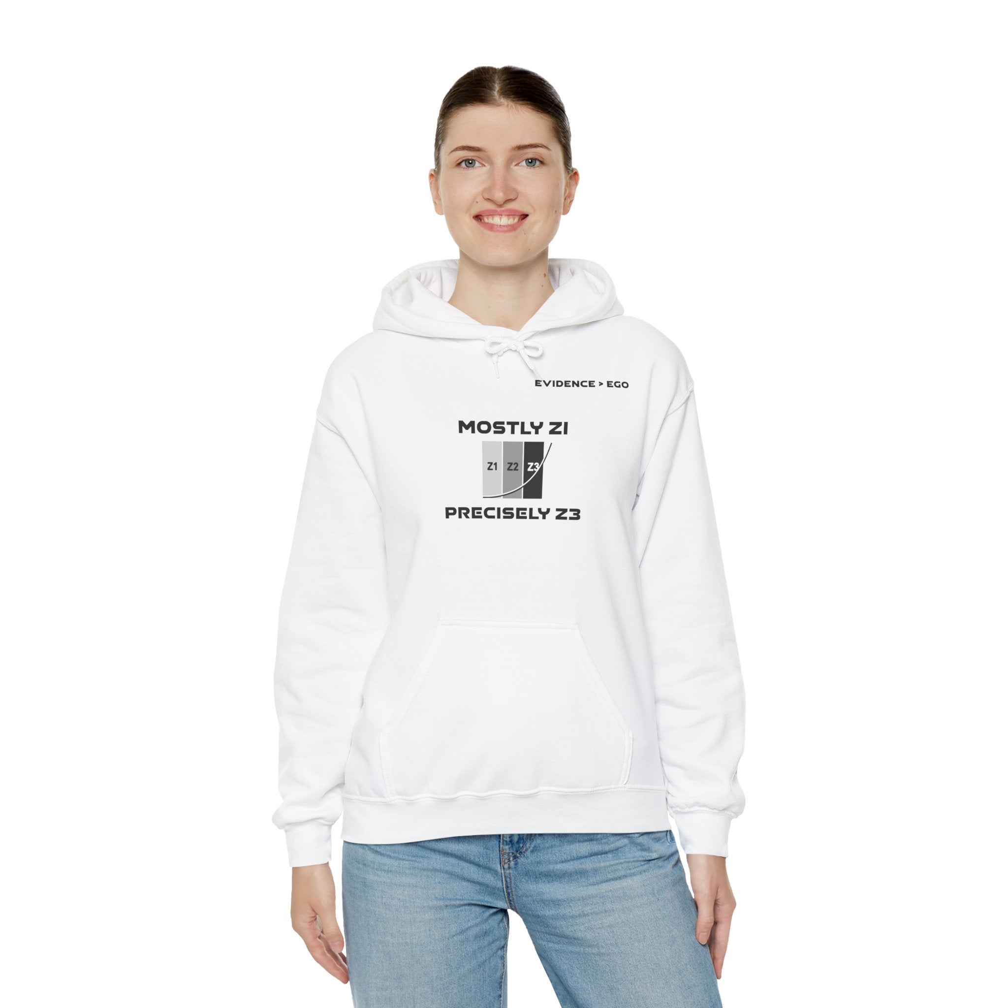 Mostly Z1. Precisely Z3 Hoodie