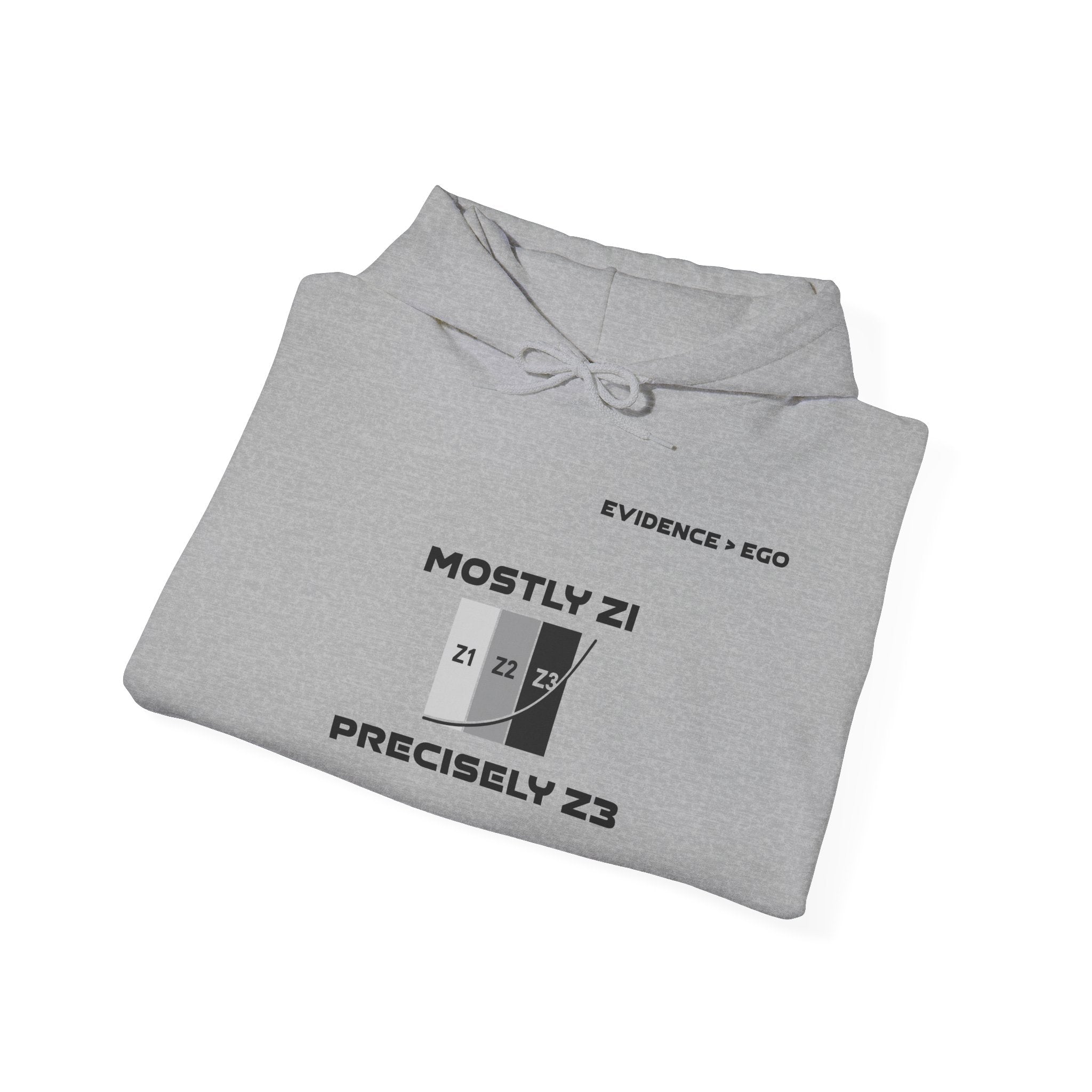 Mostly Z1. Precisely Z3 Hoodie