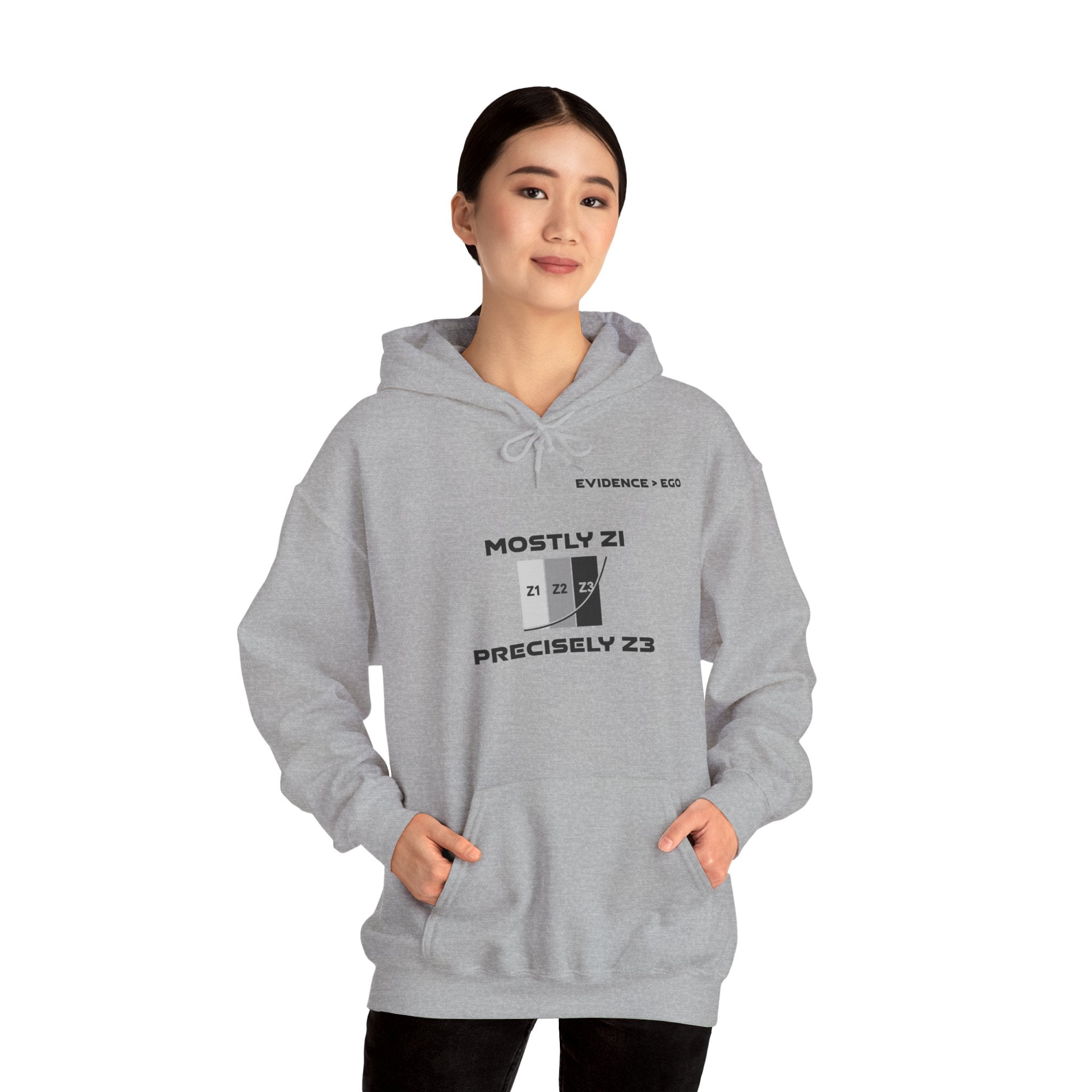 Mostly Z1. Precisely Z3 Hoodie