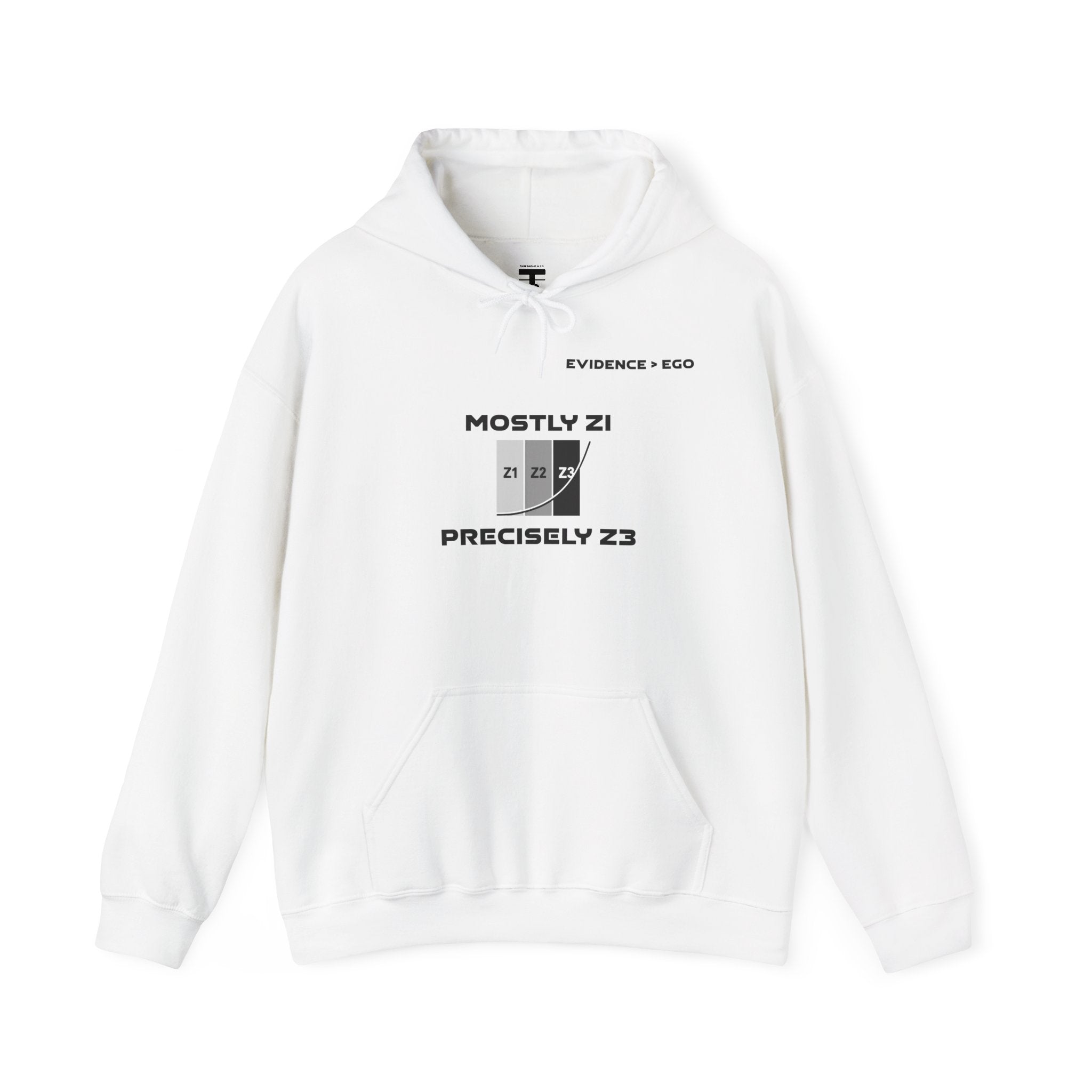 Mostly Z1. Precisely Z3 Hoodie