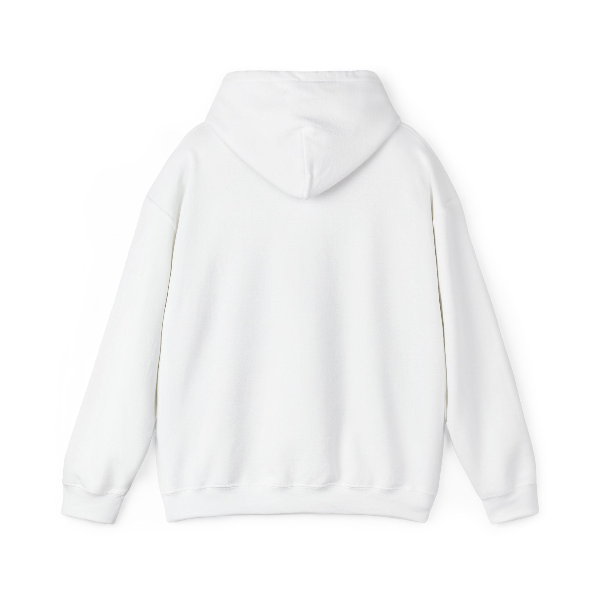 Mostly Z1. Precisely Z3 Hoodie