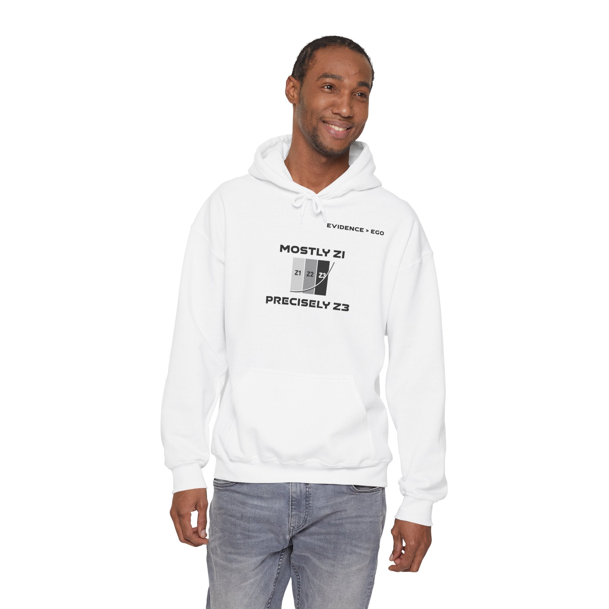 Mostly Z1. Precisely Z3 Hoodie