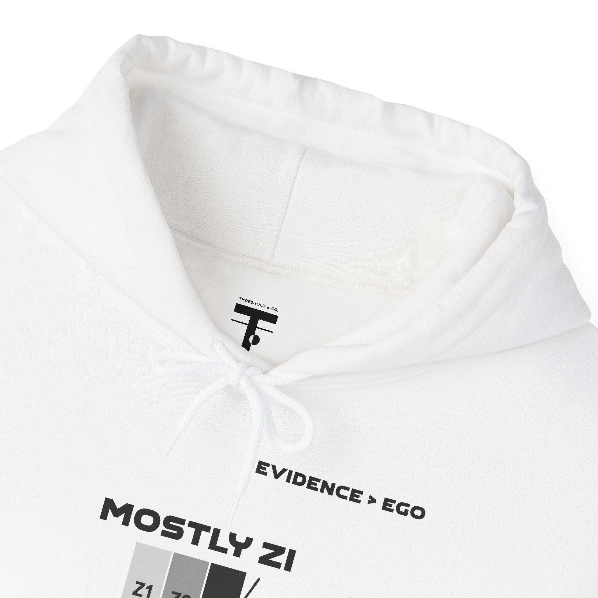 Mostly Z1. Precisely Z3 Hoodie