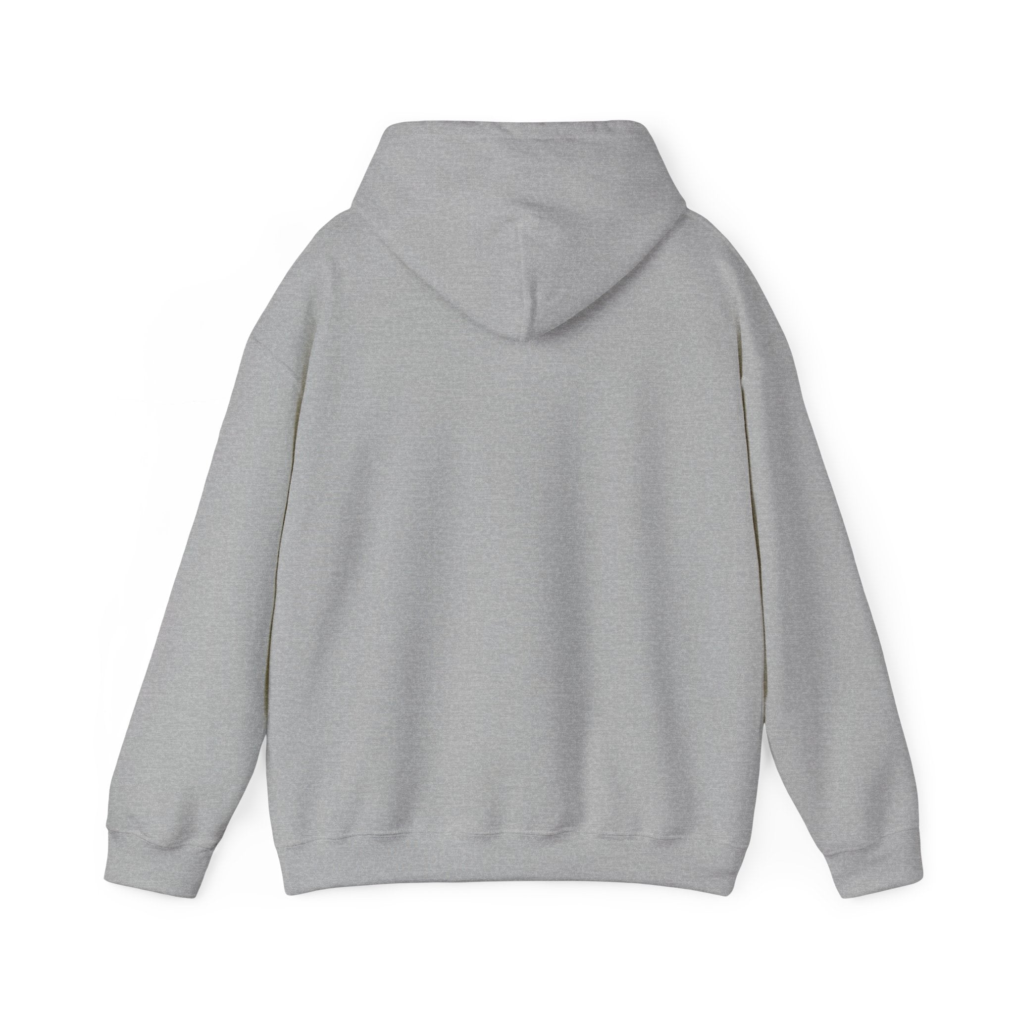 Mostly Z1. Precisely Z3 Hoodie