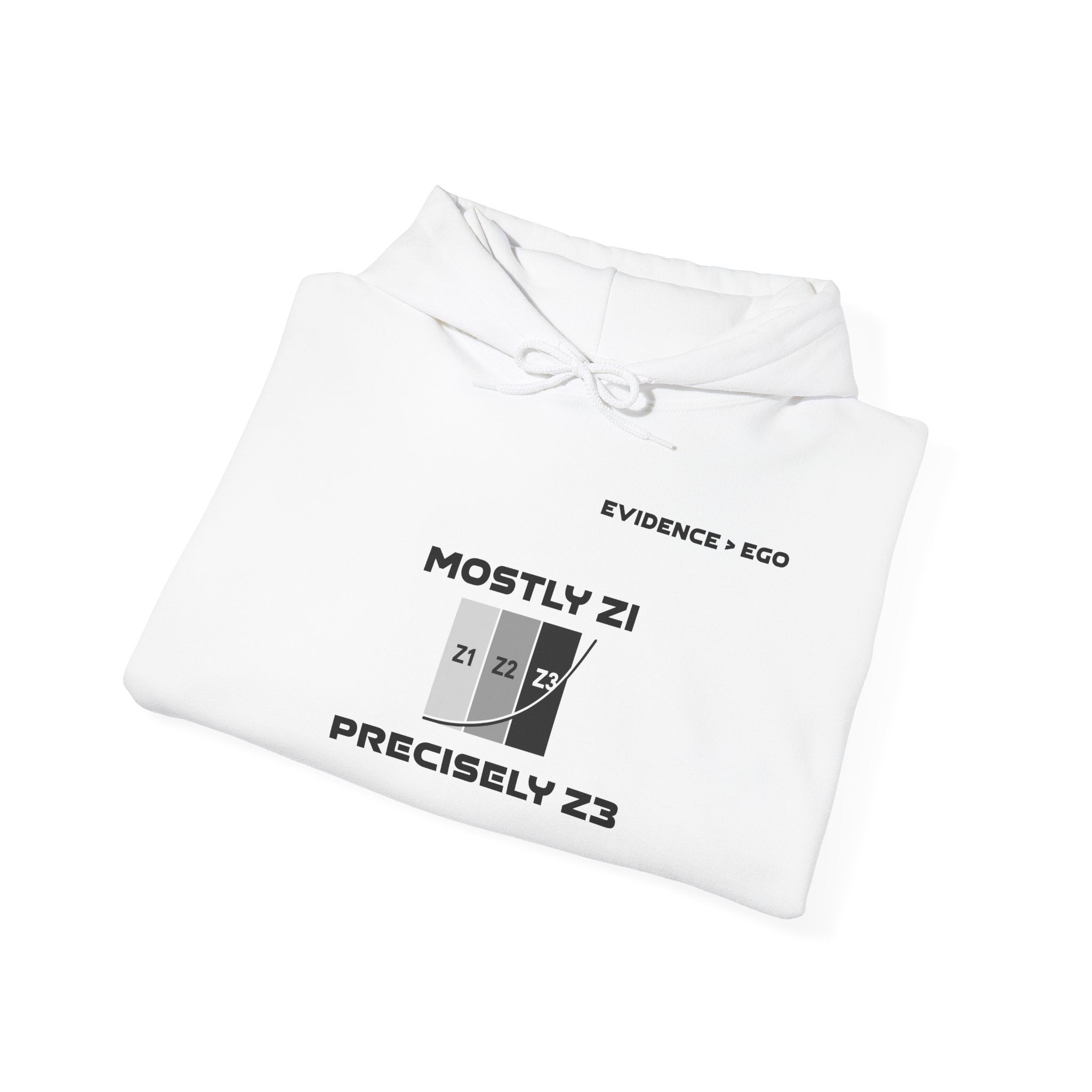 Mostly Z1. Precisely Z3 Hoodie