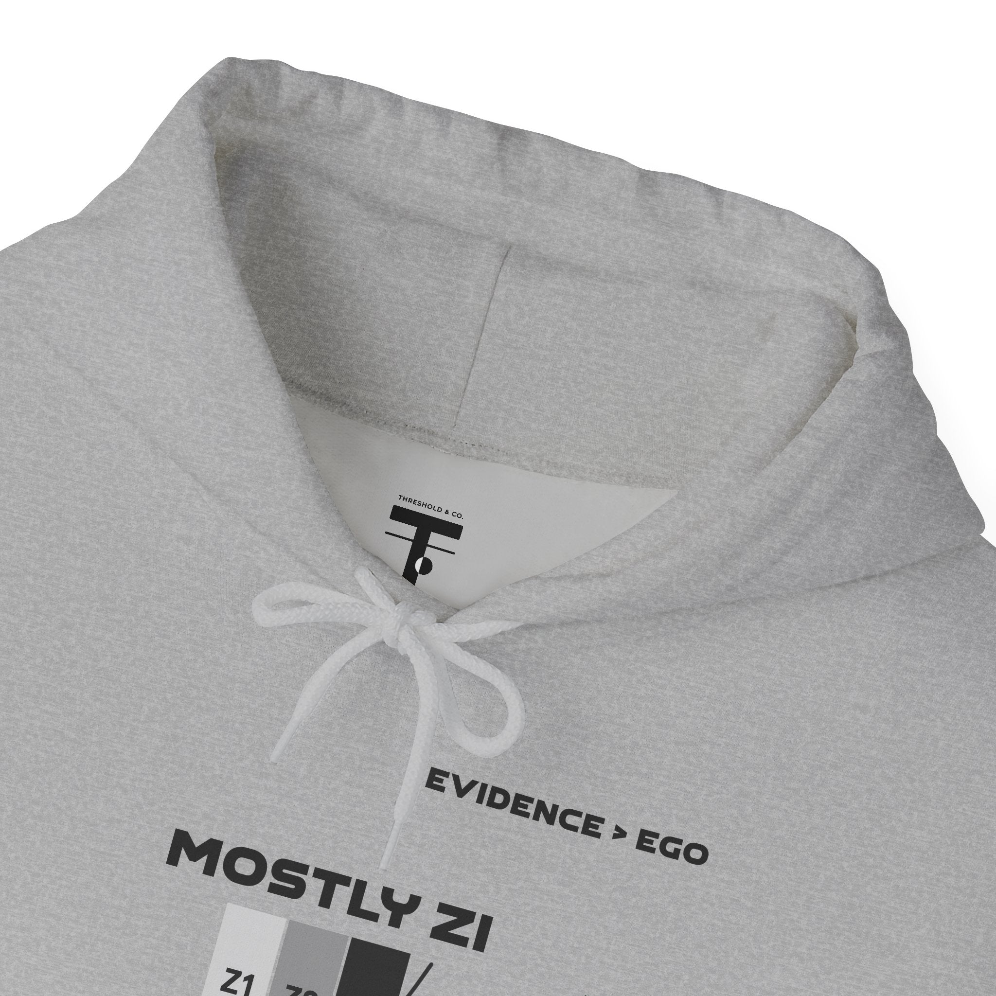 Mostly Z1. Precisely Z3 Hoodie