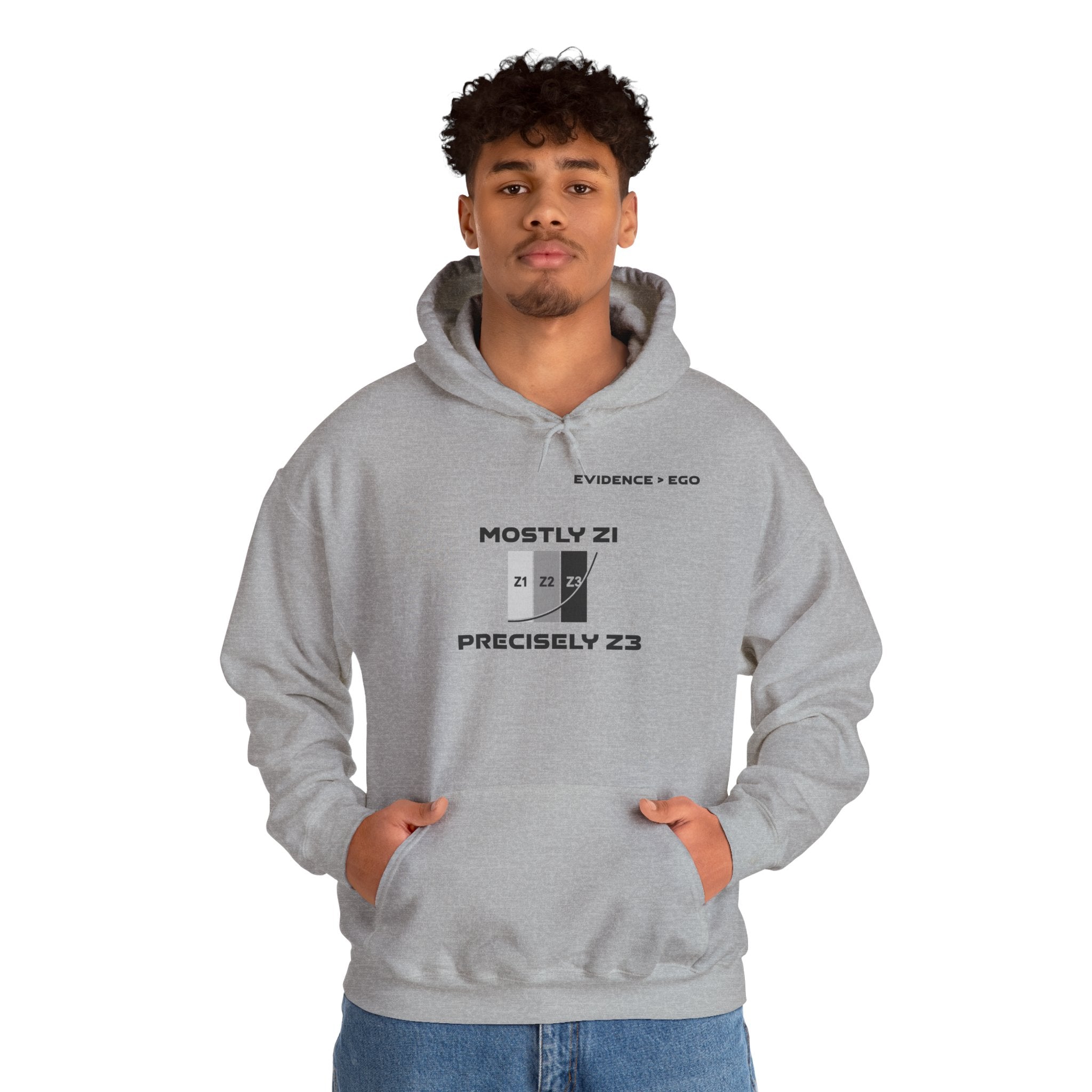Mostly Z1. Precisely Z3 Hoodie
