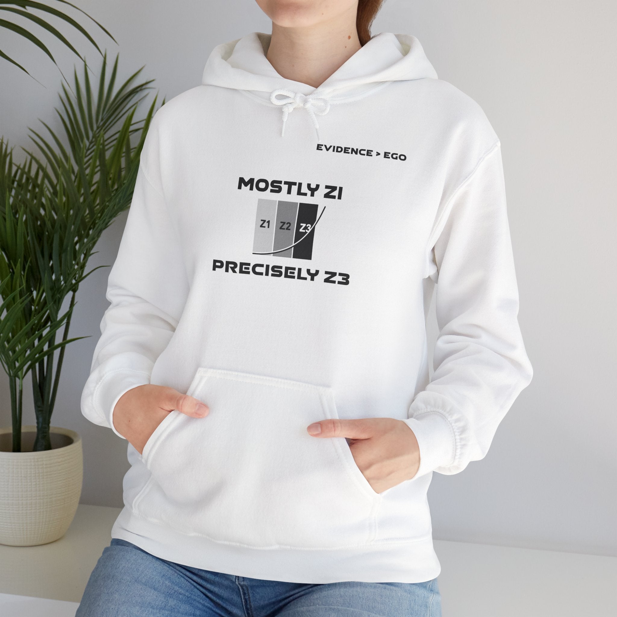 Mostly Z1. Precisely Z3 Hoodie