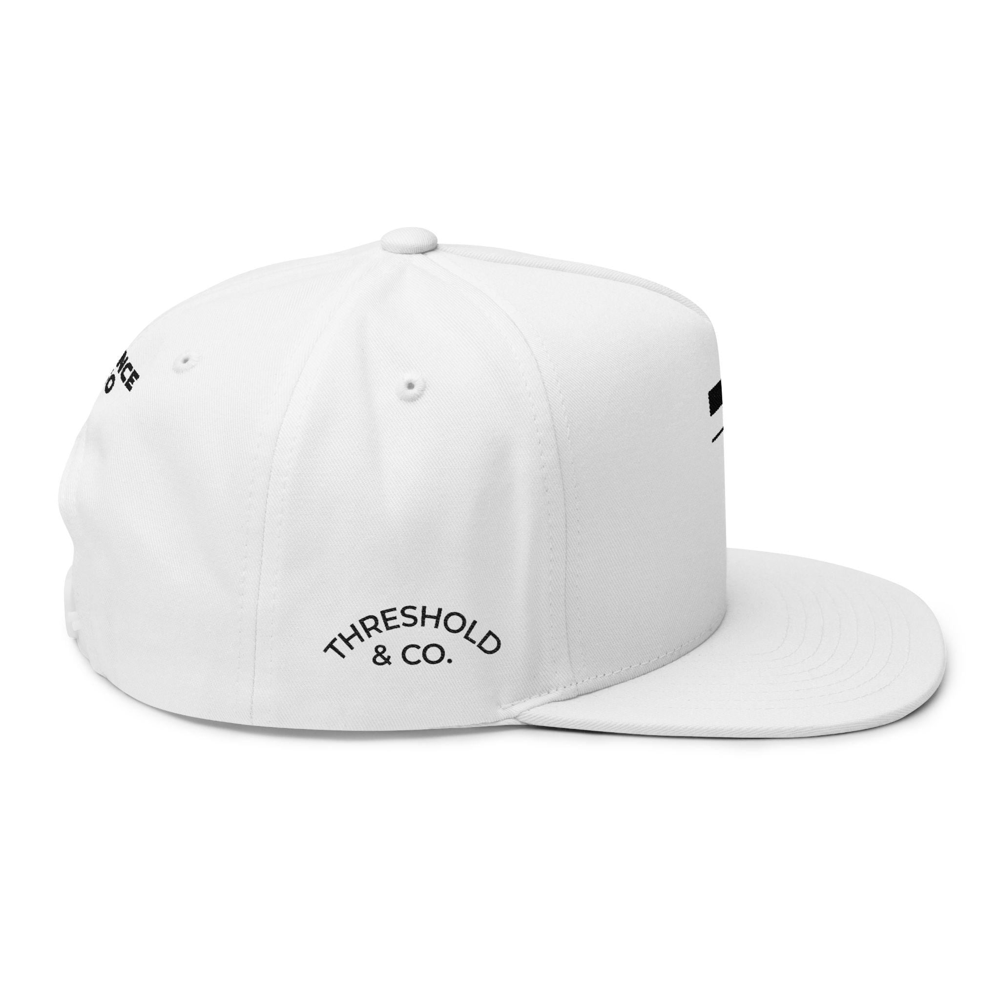 Threshold & Co. Flat Bill Cap: Embroidered Sport Science Snapback