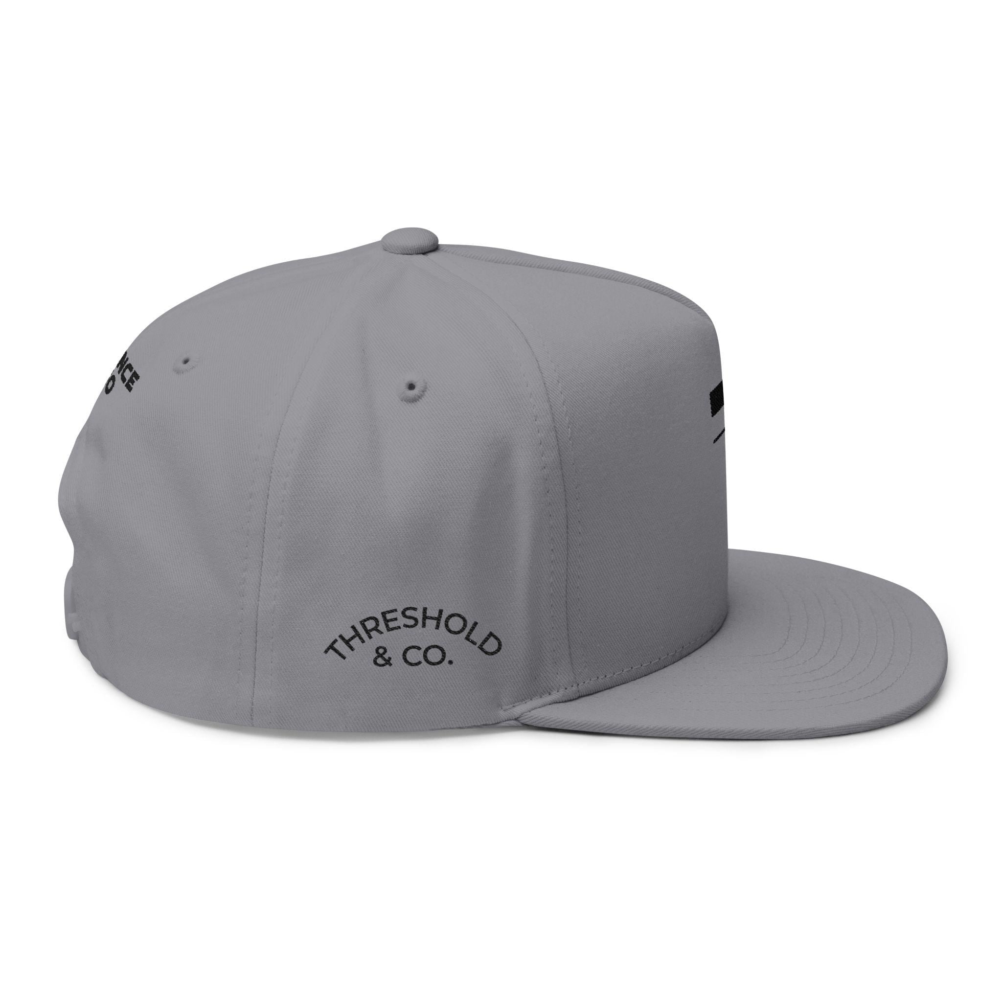 Threshold & Co. Flat Bill Cap: Embroidered Sport Science Snapback