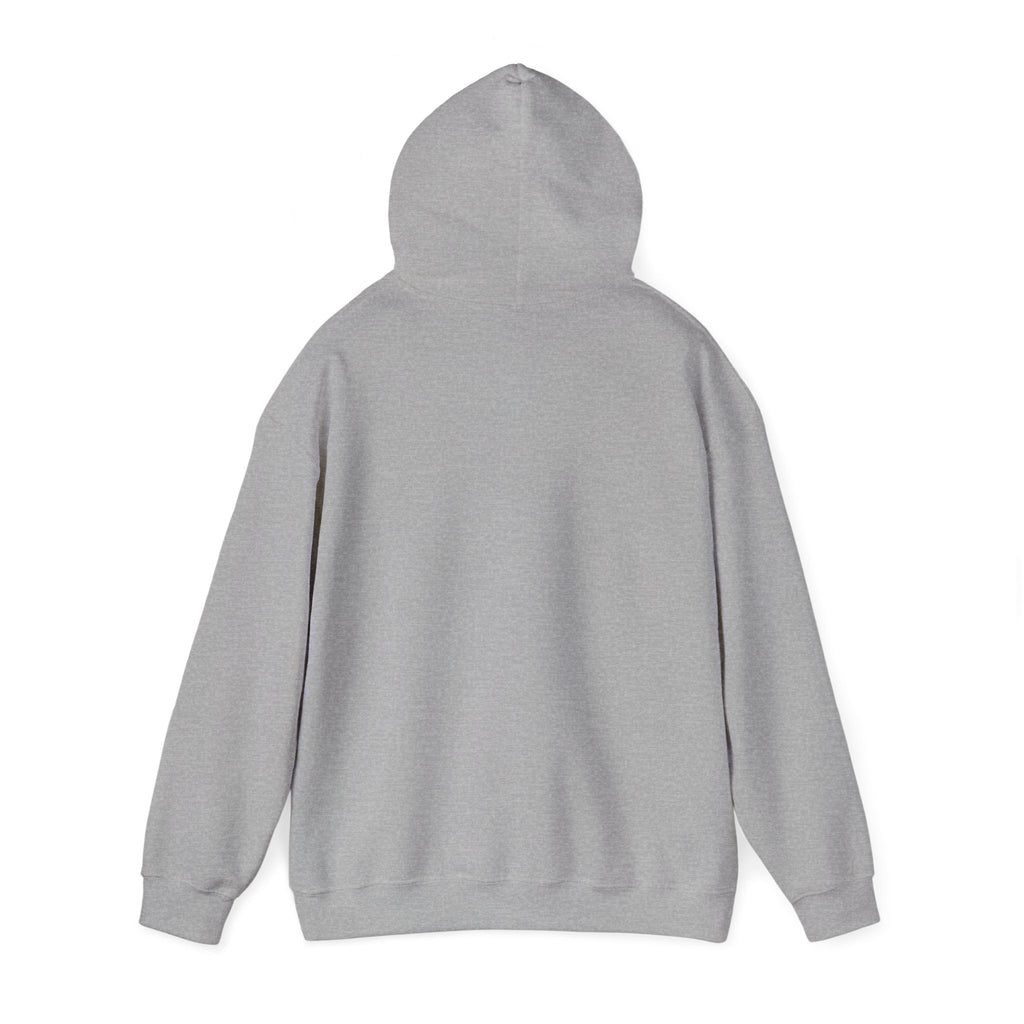 Mostly Z1. Precisely Z3 Hoodie