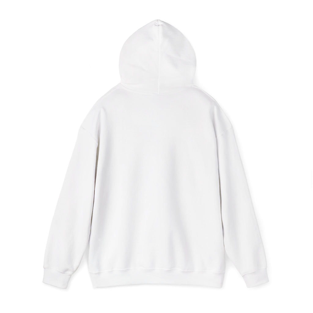 Mostly Z1. Precisely Z3 Hoodie