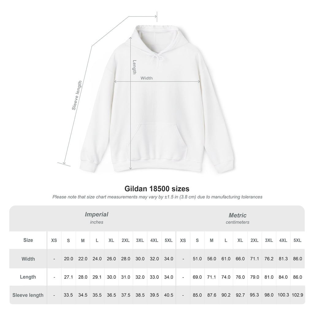 Mostly Z1. Precisely Z3 Hoodie
