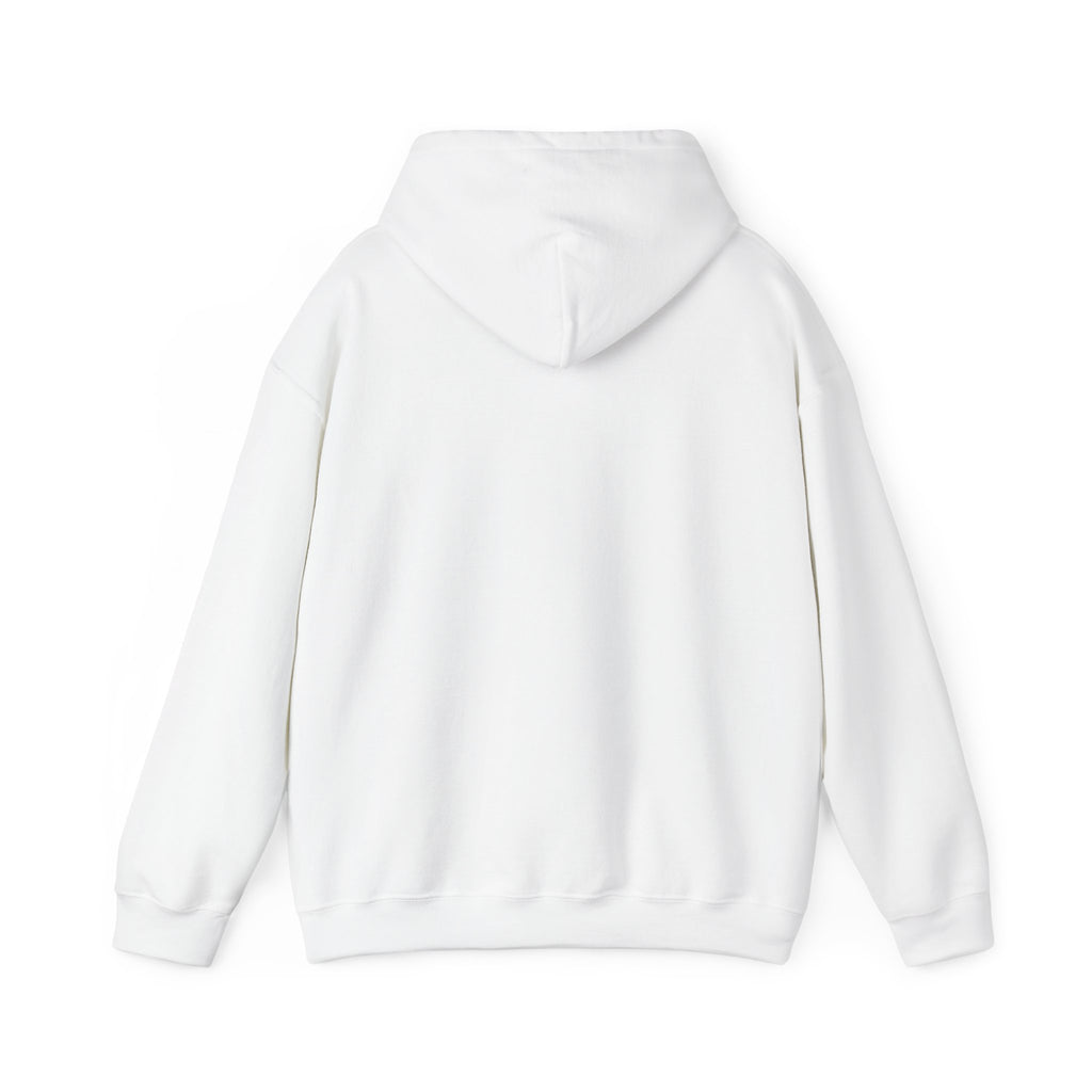 Mostly Z1. Precisely Z3 Hoodie