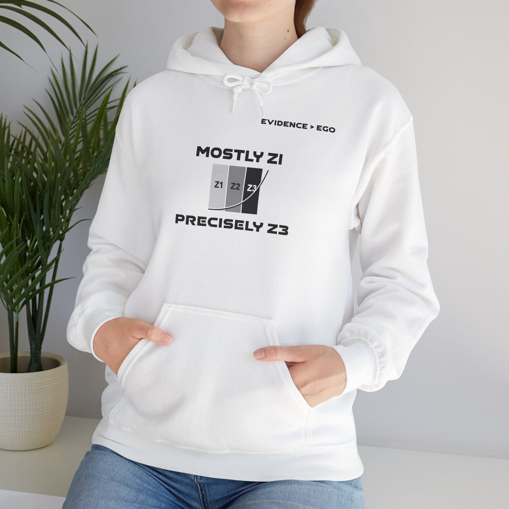 Mostly Z1. Precisely Z3 Hoodie